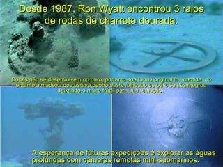 Desde 1987, Ron Wyatt encontrou 3 raiosDesde 1987, Ron Wyatt encontrou 3 raios
de rodas de charrete dourada.de rodas de charrete dourada.
Corais não se desenvolvem no ouro, portanto sua forma original foi mantida, noCorais não se desenvolvem no ouro, portanto sua forma original foi mantida, no
entanto a madeira que estava dentro deste folheado de ouro se desintegrouentanto a madeira que estava dentro deste folheado de ouro se desintegrou
deixando-o muito frágil para sua remoção.deixando-o muito frágil para sua remoção.
A esperança de futuras expedições é explorar as águasA esperança de futuras expedições é explorar as águas
profundas com câmeras remotas mini-submarinos.profundas com câmeras remotas mini-submarinos.
 