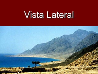 Vista LateralVista Lateral
 