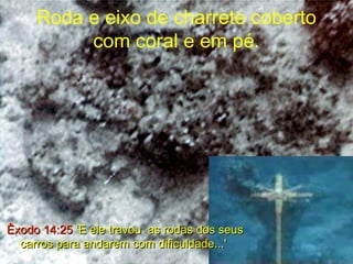 Roda e eixo de charrete coberto
com coral e em pé.
Êxodo 14:25Êxodo 14:25 ‘E ele travou as rodas dos seus‘E ele travou as rodas dos seus
carros para andarem com dificuldade...'carros para andarem com dificuldade...'
 