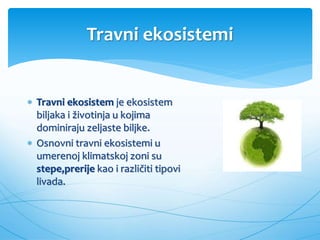 Travni ekosistemi
 Travni ekosistem je ekosistem
biljaka i životinja u kojima
dominiraju zeljaste biljke.
 Osnovni travni ekosistemi u
umerenoj klimatskoj zoni su
stepe,prerije kao i različiti tipovi
livada.
 