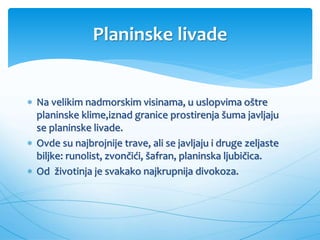 Planinske livade
 Na velikim nadmorskim visinama, u uslopvima oštre
planinske klime,iznad granice prostirenja šuma javljaju
se planinske livade.
 Ovde su najbrojnije trave, ali se javljaju i druge zeljaste
biljke: runolist, zvončići, šafran, planinska ljubičica.
 Od životinja je svakako najkrupnija divokoza.
 