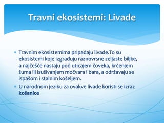 Travni ekosistemi: Livade
 Travnim ekosistemima pripadaju livade.To su
ekosistemi koje izgrađuju raznovrsne zeljaste biljke,
a najčešće nastaju pod uticajem čoveka, krčenjem
šuma ili isušivanjem močvara i bara, a održavaju se
ispašom i stalnim košeljem.
 U narodnom jeziku za ovakve livade koristi se izraz
košanice
 