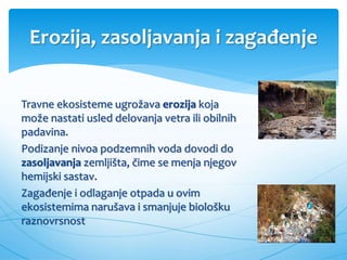Erozija, zasoljavanja i zagađenje
Travne ekosisteme ugrožava erozija koja
može nastati usled delovanja vetra ili obilnih
padavina.
Podizanje nivoa podzemnih voda dovodi do
zasoljavanja zemljišta, čime se menja njegov
hemijski sastav.
Zagađenje i odlaganje otpada u ovim
ekosistemima narušava i smanjuje biološku
raznovrsnost
 