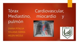 Tórax Cardiovascular,
Mediastino, miocardio y
pulmón
DIANA PITALUA
YOLIANA SIERRA
HELEN NICOLE
 