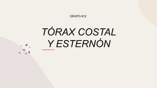 TÓRAX COSTAL
Y ESTERNÓN
GRUPO #12
 