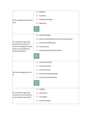 36. El marcapasosdel corazón
esel:
A. NodoAV
B. haz de His
C. sistemade Purkinje
D. NóduloSA
37. ¿Cuál de las siguientes
estructurasse encuentra
entre lavenaácigos y laaorta
torácica enel mediastino
posteriordel tórax?
A. venahemiácigos
B. posteriorizquierdade lavenaintercostal superior
C. arteriapericardiofrénica
D. ducto torácico
E. derechovenaintercostal superior
38. Los venaácigosdrenaen
el:
A. venacava superior
B. venacava inferior
C. aurícula derecha
D. venainnominadaizquierda
E. venainnominadaderecha
39. ¿Cuál de las siguientes
estructurasno se encuentra
enel mediastinoposterior?
A. esófago
B. arco aórtico
C. venaácigos
D. venahemiácigos
 