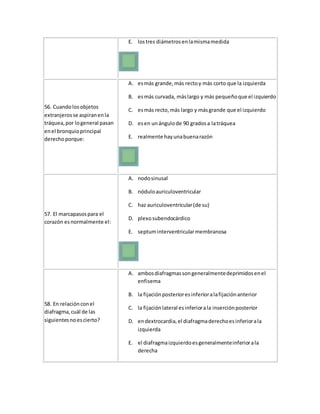 E. lostres diámetrosenlamismamedida
56. Cuando losobjetos
extranjerosse aspiranenla
tráquea,por logeneral pasan
enel bronquioprincipal
derechoporque:
A. esmás grande,más rectoy más corto que la izquierda
B. esmás curvada, máslargo y más pequeñoque el izquierdo
C. esmás recto,más largo y másgrande que el izquierdo
D. esen unángulode 90 gradosa latráquea
E. realmente hayunabuenarazón
57. El marcapasospara el
corazón esnormalmente el:
A. nodosinusal
B. nóduloauriculoventricular
C. haz auriculoventricular(de su)
D. plexosubendocárdico
E. septuminterventricularmembranosa
58. En relaciónconel
diafragma,cuál de las
siguientesnoescierto?
A. ambosdiafragmassongeneralmentedeprimidosenel
enfisema
B. la fijaciónposterioresinferioralafijaciónanterior
C. la fijaciónlateral esinferiorala inserciónposterior
D. endextrocardia,el diafragmaderechoesinferiorala
izquierda
E. el diafragmaizquierdoesgeneralmenteinferiorala
derecha
 