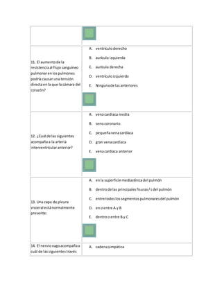 11. El aumentode la
resistenciaal flujosanguíneo
pulmonarenlospulmones
podría causar una tensión
directaenla que la cámara del
corazón?
A. ventrículoderecho
B. aurícula izquierda
C. aurícula derecha
D. ventrículoizquierdo
E. Ningunade lasanteriores
12. ¿Cuál de las siguientes
acompañaa la arteria
interventricularanterior?
A. venacardiaca media
B. senocoronario
C. pequeñavenacardíaca
D. gran venacardiaca
E. venacardíaca anterior
13. Una capa de pleura
visceral estánormalmente
presente:
A. enla superficie mediastínicadel pulmón
B. dentrode las principalesfisuras/sdel pulmón
C. entre todoslossegmentospulmonaresdel pulmón
D. eno entre A y B
E. dentroo entre B y C
14. El nerviovagoacompañaa
cuál de lassiguientestravés
A. cadenasimpática
 
