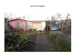 ¡por fin he llegado!
 