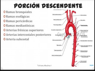 Porción descendente
0 Ramas bronquiales
0 Ramas esofágicas
0 Ramas pericárdicas
0 Ramas mediastínicas
0 Arterias frénicas superiores
0 Arterias intercostales posteriores
0 Arteria subcostal




                         Tatiana Medina Ramírez
 