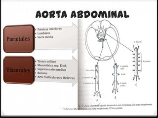 Aorta Abdominal




    Tatiana Medina Ramírez
 