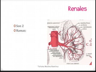 Renales

0 Son 2
0 Ramas:




           Tatiana Medina Ramírez
 