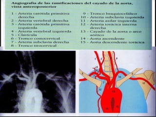 Tatiana Medina Ramírez
 