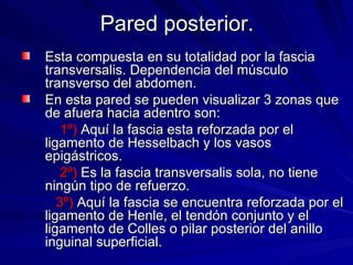 Pared posterior. Esta compuesta en su totalidad por la fascia transversalis. Dependencia del músculo transverso del abdomen. En esta pared se pueden visualizar 3 zonas que de afuera hacia adentro son: 1º)  Aquí la fascia esta reforzada por el ligamento de Hesselbach y los vasos epigástricos.  2º)  Es la fascia transversalis sola, no tiene ningún tipo de refuerzo. 3º)  Aquí la fascia se encuentra reforzada por el ligamento de Henle, el tendón conjunto y el ligamento de Colles o pilar posterior del anillo inguinal superficial. 