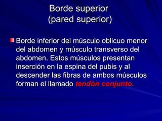 Borde superior  (pared superior) Borde inferior del músculo oblicuo menor del abdomen y músculo transverso del abdomen. Estos músculos presentan inserción en la espina del pubis y al descender las fibras de ambos músculos forman el llamado  tendón conjunto. 