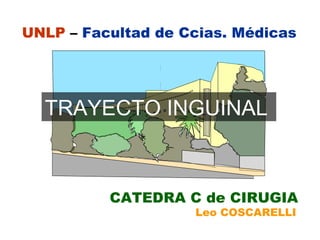 UNLP  –  Facultad de Ccias. Médicas CATEDRA C de CIRUGIA Leo COSCARELLI TRAYECTO INGUINAL   