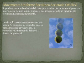 Movimiento Uniforme Rectilíneo Acelerado (MURA)
Se produce cuando la velocidad del cuerpo experimenta variaciones iguales en
intervalos de tiempo también iguales, mientras desarrolla un movimiento
rectilíneo. La velocidad aumenta.
Un ejemplo es cuando dejamos caer una
pelota. Al principio, su velocidad es cero,
pero a medida que va cayendo, la
velocidad va aumentando debido a la
fuerza de gravedad.
 