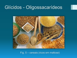 Glícidos - Oligossacarídeos
Fig. 5 – cereais (ricos em maltose)
 