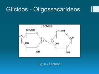 Glícidos - Oligossacarídeos
Fig. 6 - Lactose
 