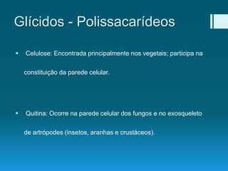 Glícidos - Polissacarídeos
 Celulose: Encontrada principalmente nos vegetais; participa na
constituição da parede celular.
 Quitina: Ocorre na parede celular dos fungos e no exosqueleto
de artrópodes (insetos, aranhas e crustáceos).
 