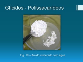 Fig. 10 – Amido misturado com água
Glícidos - Polissacarídeos
 
