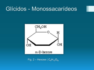 Glícidos - Monossacarídeos
Fig. 2 – Hexose ( C6H12O6)
 