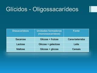 Glícidos - Oligossacarídeos
Dissacarídeos Unidades formadoras
(monossacarídeos)
Fonte
Sacarose Glicose + frutose Cana-beterraba
Lactose Glicose + galactose Leite
Maltose Glicose + glicose Cereais
 