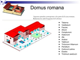 Domus romana Taberna Vestibulum Fauces Atrium Compluvium Impluvium Ala  Andron Tablinum Triclunium Hibernum Peristilum Culina et Latrina Exedra Triclinium aestivum Aquestes paraules corresponen a les parts de la casa romana. Relaciona-les amb l’esquema de la domus  