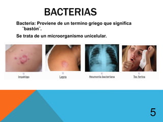 BACTERIAS
Bacteria: Proviene de un termino griego que significa
¨bastón¨.
Se trata de un microorganismo unicelular.
5
 