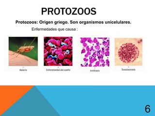 PROTOZOOS
Protozoos: Origen griego. Son organismos unicelulares.
6
Enfermedades que causa :
 