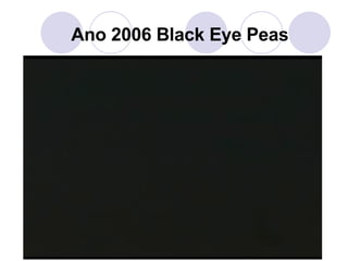 Ano 2006 Black Eye Peas 