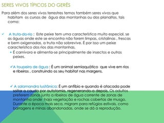 SERES VIVOS TÍPICOS DO GERÊS
Para além dos seres vivos terrestres temos também seres vivos que
habitam os cursos de água das montanhas ou dos planaltos, tais
como:


A truta-do-rio : Este peixe tem uma característica muito especial, se
as águas onde este se encontra não forem limpas, cristalinas , frescas
e bem oxigenadas, a truta não sobrevive. É por isso um peixe
característico dos rios das montanhas.
 É carnívoro e alimenta-se principalmente de insectos e outros
peixes.

A toupeira de água : É um animal semiaquático que vive em rios
e ribeiros , construindo os seu habitat nas margens.

 A salamandra lusitânica: É um anfíbio e quando é atacada pode
soltar a cauda por autotomia, regenerando-a depois. Os adultos
preferem zonas junto a ribeiros de água corrente de zonas de
montanha onde haja vegetação e rochas cobertas de musgo.
Durante a época mais seca, migram para refúgios estivais, como
barragens e minas abandonadas, onde se dá a reprodução.

 