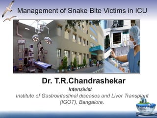 Dr. T.R.Chandrashekar
Intensivist
Institute of Gastrointestinal diseases and Liver Transplant
(IGOT), Bangalore.
Management of Snake Bite Victims in ICU
 
