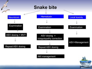 Snake bite
Neurotoxic
Examination
ASV dosing + MV?
Repeat ASV dosing
Hemotoxin
Examination
ASV dosing +
coagulopathy correction
Repeat ASV dosing
AKI management
Local toxicity
Examination
ASV+Management
 