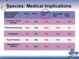 Species: Medical Implications
Signs/Symptoms
and Potential
Treatments
Cobra Krait
Russell’s
Viper Saw Scaled
Viper
Other
Vipers
Local pain/ Tissue
Damage Yes No Yes Yes Yes
Ptosis/Neurotoxicity Yes Yes Yes! NO No
Coagulation No No Yes Yes Yes
Renal Problems No No Yes NO Yes
Neostigmine &
Atropine Yes No? No? NO No
 