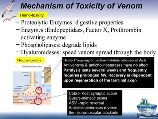 Mechanism of Toxicity of Venom
– Proteolytic Enzymes: digestive properties
– Enzymes :Endopeptidaes, Factor X, Prothrombin
activating enzyme
– Phospholipases: degrade lipids
– Hyaluronidases: speed venom spread through the body
Cobra- Post synaptic action
Curare-mimetic toxins
ASV –rapid reversal
Anticholinesterases reverse
the neuromuscular blockade
Krait- Presynaptic action-Inhibits release of Ach
Antivenoms & anticholinesterases have no effect
Paralysis lasts several weeks and frequently
requires prolonged MV. Recovery is dependent
upon regeneration of the terminal axon
Hemo-toxicity
Neuro-toxicity
 