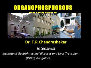 Dr. T.R.Chandrashekar
Intensivist
Institute of Gastrointestinal diseases and Liver Transplant
(IGOT), Bangalore.
ORGANOPHOSPHOROUS
POISONING
 