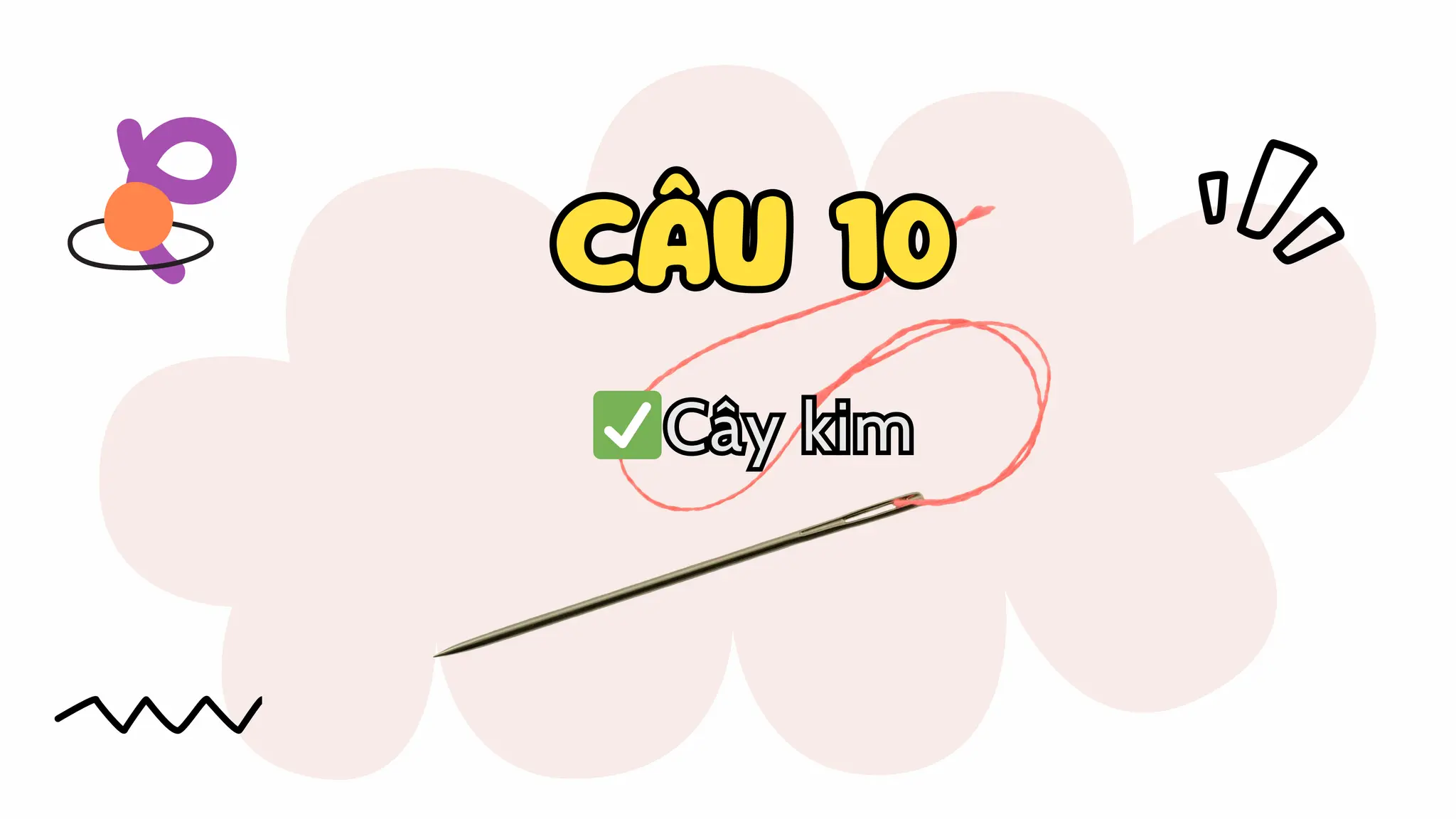 CÂU 10
CÂU 10
✅Cây kim
✅Cây kim
 