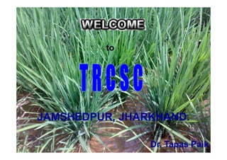 to




JAMSHEDPUR, JHARKHAND.

                Dr. Tapas Paik
 