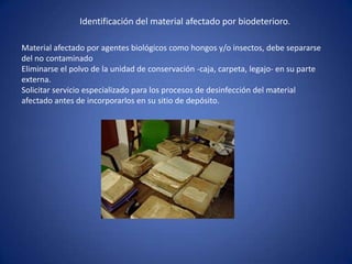 Identificación del material afectado por biodeterioro.
Material afectado por agentes biológicos como hongos y/o insectos, debe separarse
del no contaminado
Eliminarse el polvo de la unidad de conservación -caja, carpeta, legajo- en su parte
externa.
Solicitar servicio especializado para los procesos de desinfección del material
afectado antes de incorporarlos en su sitio de depósito.
 