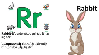 Rabbit
Rabbit-It՛s a domestic animal. It has
big ears.
Նապաստակ-Ընտանի կենդանի
է։ Ունի մեծ ականջներ:
 