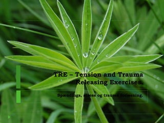 TRE – Tension and Trauma
      Releasing Exercises.
 Spændings, stress og traume forløsning.
 