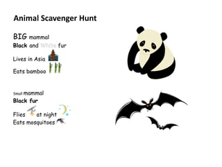 Animal Scavenger Hunt
BIG mammal
Black and
Lives in Asia
Eats bamboo
Small mammal

Black fur

Flies
at night
Eats mosquitoes

fur

 