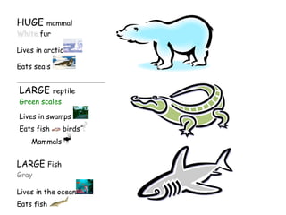 HUGE mammal
fur
Lives in arctic
Eats seals

LARGE

reptile
Green scales
Lives in swamps
Eats fish

birds

Mammals

LARGE Fish
Gray
Lives in the ocean
Eats fish

 