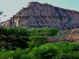 Treasures Hidden in Nature
   ZION Canyon National Park,
        Summer – 2011
         Camera used: Nikon D3100
   Photographer: Sugato Chattopadhyay
 