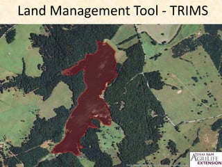 Land Management Tool - TRIMS

 
