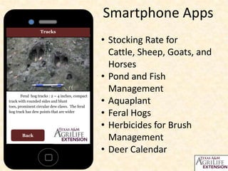 Smartphone Apps
Tracks

Feral hog tracks : 2 – 4 inches, compact
track with rounded sides and blunt
toes, prominent circular dew claws. The feral
hog track has dew points that are wider

Back

• Stocking Rate for
Cattle, Sheep, Goats, and
Horses
• Pond and Fish
Management
• Aquaplant
• Feral Hogs
• Herbicides for Brush
Management
• Deer Calendar

 