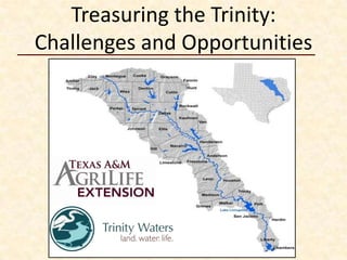 Treasuring the Trinity:
Challenges and Opportunities

 