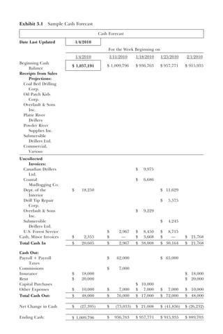 Exhibit 3.1 Sample Cash Forecast
 