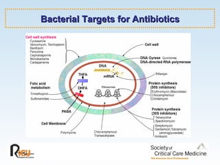 Bacterial Targets for Antibiotics 